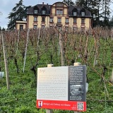 14_Weingut-Neveu